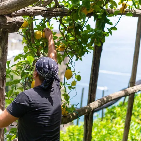 La Pergola Amalfi