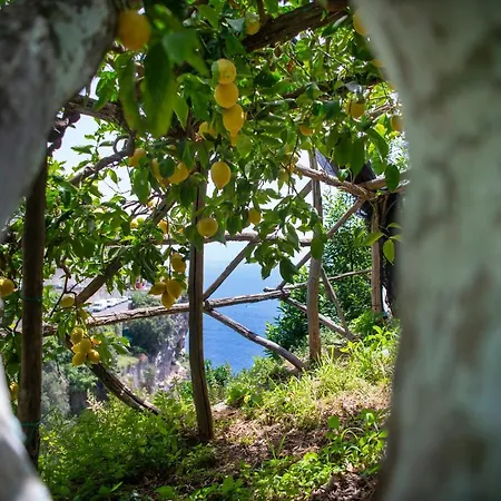 La Pergola Amalfi