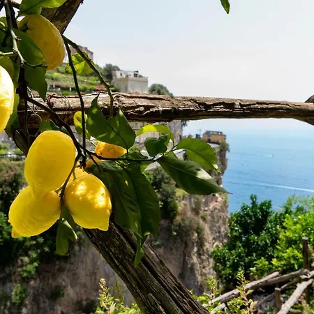 La Pergola 3*
