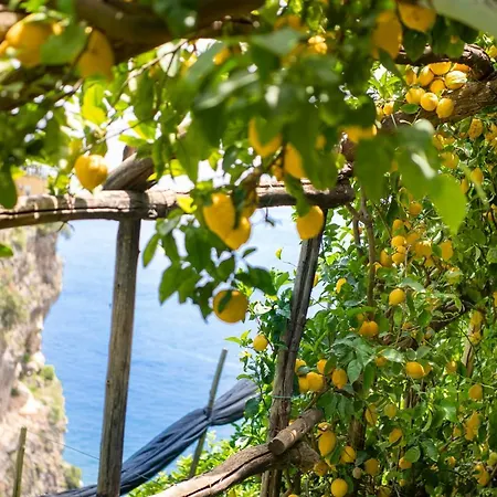 Hotel La Pergola 3*