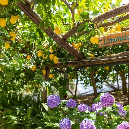 La Pergola Готель Амальфі