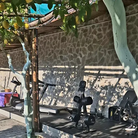 Hotel La Pergola 3*