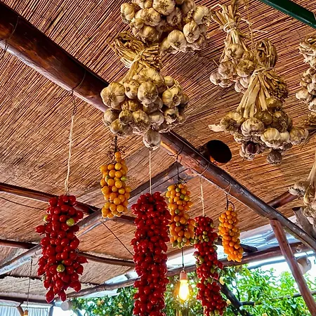 Hotel La Pergola 3*