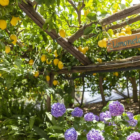 La Pergola Амальфі