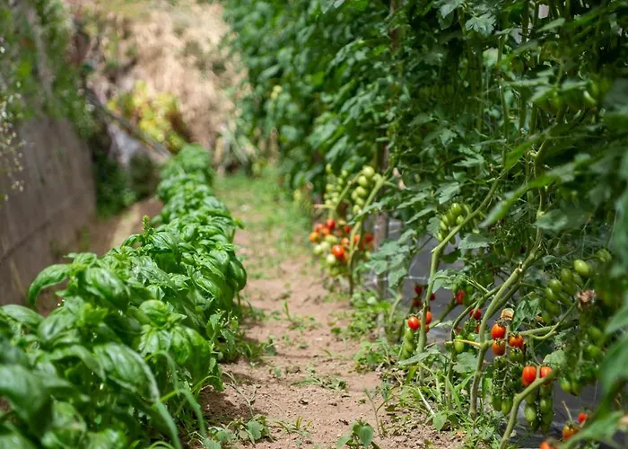 라 페르골라 3* 아말피