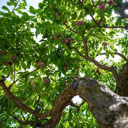 La Pergola Hotel Amalfi
