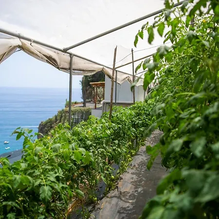 Hotel La Pergola Amalfi