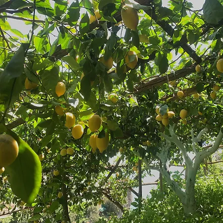 Hotel La Pergola Amalfi