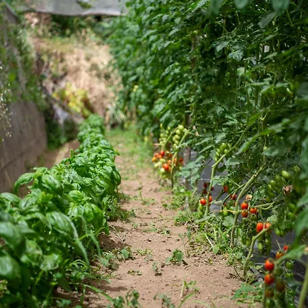 La Pergola 3* Amalfi