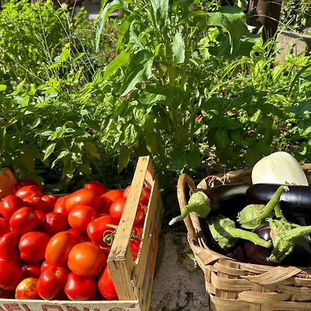 Hotel La Pergola Amalfi