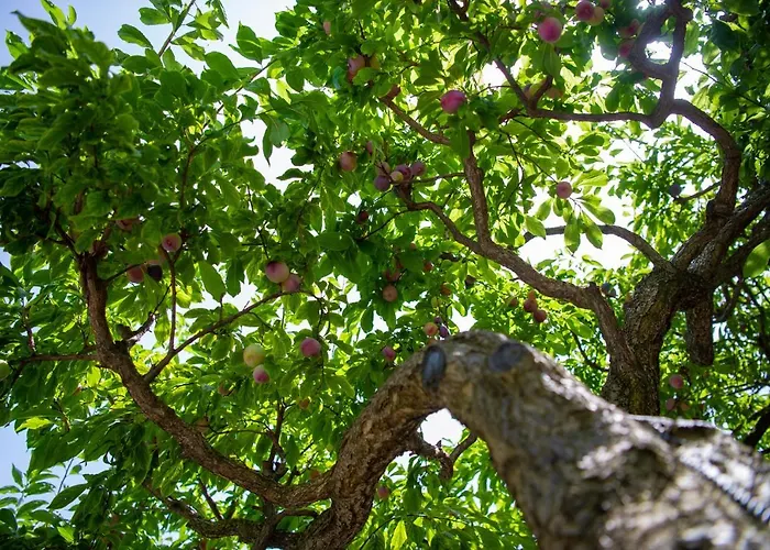 La Pergola Hotel Amalfi
