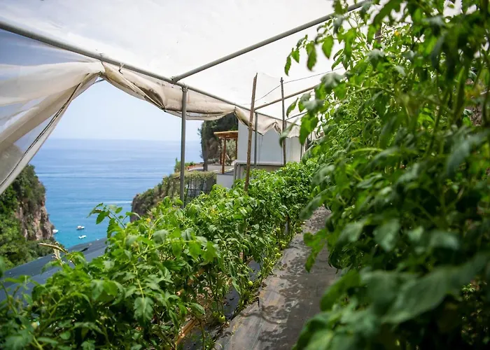 Hotel La Pergola Amalfi