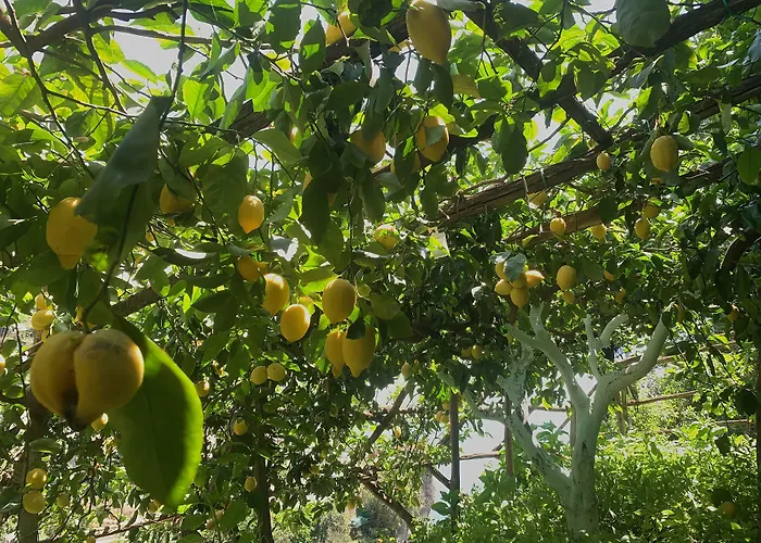 Hotel La Pergola Amalfi
