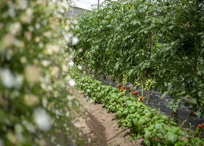 La Pergola 3* Amalfi