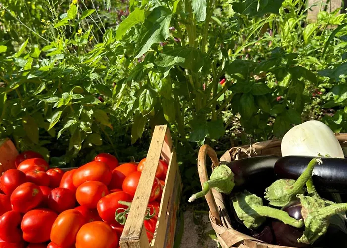 Hotel La Pergola Amalfi